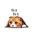 ドット絵 スコティッシュフォールド 茶  40（個別スタンプ：31）