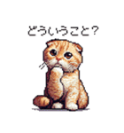 ドット絵 スコティッシュフォールド 茶  40（個別スタンプ：33）