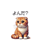 ドット絵 スコティッシュフォールド 茶  40（個別スタンプ：36）