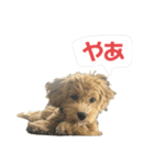 理玖くん'sスタンプ（個別スタンプ：1）
