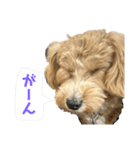 理玖くん'sスタンプ（個別スタンプ：23）