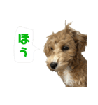 理玖くん'sスタンプ（個別スタンプ：31）
