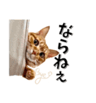 我が家のお姫ちゃん♥（個別スタンプ：2）