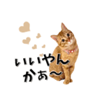 我が家のお姫ちゃん♥（個別スタンプ：3）