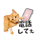 我が家のお姫ちゃん♥（個別スタンプ：4）