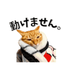 我が家のお姫ちゃん♥（個別スタンプ：5）