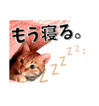 我が家のお姫ちゃん♥（個別スタンプ：13）