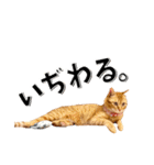 我が家のお姫ちゃん♥（個別スタンプ：14）
