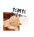 我が家のお姫ちゃん♥（個別スタンプ：21）