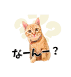 我が家のお姫ちゃん♥（個別スタンプ：22）