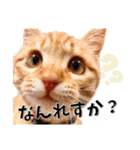 我が家のお姫ちゃん♥（個別スタンプ：24）