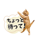 我が家のお姫ちゃん♥（個別スタンプ：26）