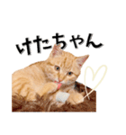 我が家のお姫ちゃん♥（個別スタンプ：28）