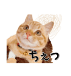 我が家のお姫ちゃん♥（個別スタンプ：30）