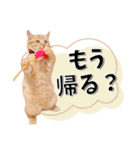 我が家のお姫ちゃん♥（個別スタンプ：31）