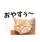 我が家のお姫ちゃん♥（個別スタンプ：32）