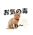 我が家のお姫ちゃん♥（個別スタンプ：33）