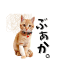 我が家のお姫ちゃん♥（個別スタンプ：34）