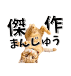 我が家のお姫ちゃん♥（個別スタンプ：35）