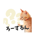 我が家のお姫ちゃん♥（個別スタンプ：36）