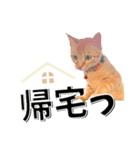 我が家のお姫ちゃん♥（個別スタンプ：38）