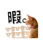 我が家のお姫ちゃん♥（個別スタンプ：39）