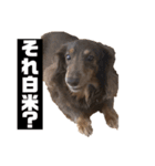やっぱりいっちゃん可愛いねん（個別スタンプ：9）