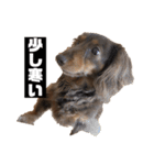 やっぱりいっちゃん可愛いねん（個別スタンプ：11）