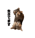 やっぱりいっちゃん可愛いねん（個別スタンプ：12）