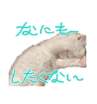 bellyuki（個別スタンプ：9）