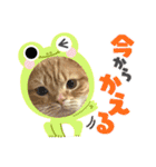 bellyuki（個別スタンプ：11）