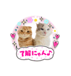 bellyuki（個別スタンプ：13）