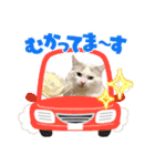 bellyuki（個別スタンプ：16）