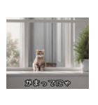 にゃんともキュート！愛らしい猫のスタンプ（個別スタンプ：9）