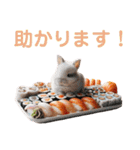 うさぎと料理 第2弾（個別スタンプ：10）