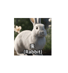 animal_漢字（個別スタンプ：12）