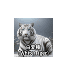 animal_漢字（個別スタンプ：21）