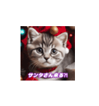 スコティッシュ子猫まみれ1 修正版（個別スタンプ：30）