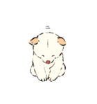 好きが溢れる柴犬さん -白柴-（個別スタンプ：8）