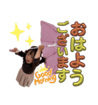 ひなたんスタンプ♡3（個別スタンプ：6）