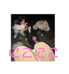 がーちゃ！ほんまごめんやで！（個別スタンプ：14）