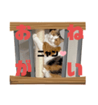 私はモコ（個別スタンプ：6）