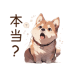 萌太郎柴犬（個別スタンプ：13）