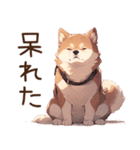 萌太郎柴犬（個別スタンプ：15）