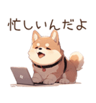 萌太郎柴犬（個別スタンプ：25）