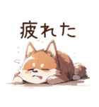 萌太郎柴犬（個別スタンプ：26）