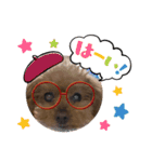 我が家のあろはちゃん7（個別スタンプ：1）
