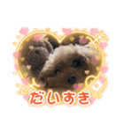 我が家のあろはちゃん7（個別スタンプ：2）