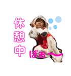MJS（個別スタンプ：8）