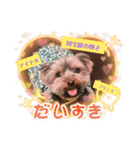 プリンスはまスタンプ Ver.1（個別スタンプ：3）